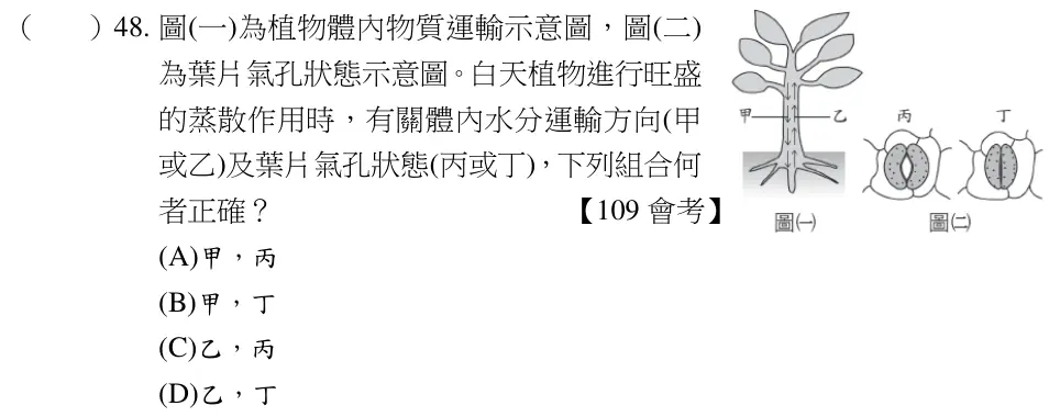 第48題題目