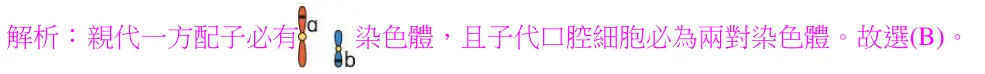 第1題解析
