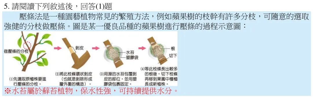 第5題題組文章