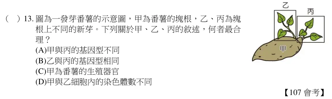 第13題題目