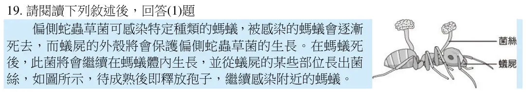 第19題題組文章