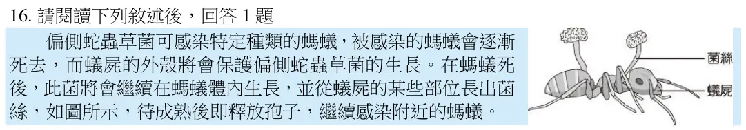 第16題題組文章